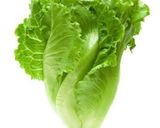 Foto del paso 1 de la receta: Sándwich básico (pan con lechuga)
