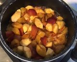 Une image de l'étape 5 de Compote de prunes et pommes du jardin au sucre de canne.