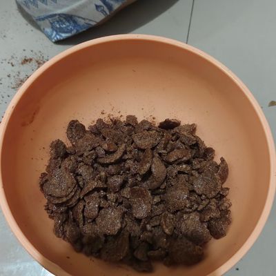 Langkah 4