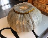 Une image de l'étape 6 de Purée de courge bernettine à la brousse corse,oignon de roscoff et persil.