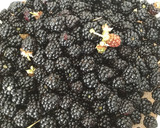 Foto del paso 1 de la receta: Mermelada de moras silvestres