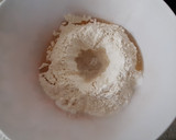Foto del paso 1 de la receta: 🍕Masa para pizza🍕