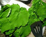 Foto del paso 6 de la receta: HOJITAS De Parra,(Dolma) rellenas de Pechuga molida de Pollo...!