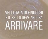Foto del passaggio 4 della ricetta Paguri, vellutata di finocchi, mazzancolle scottate e tartare