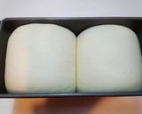 雙峰q彈吐司-冷藏法的食譜步驟6照片