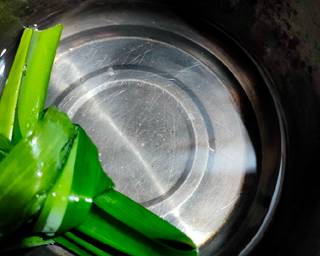 Es Cendol Susu Buah Naga - Step 1