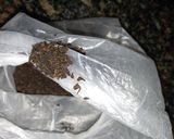 Foto del paso 1 de la receta: Infusión de té Rojo, con miel para descargar mala vibra 🎉🎀
