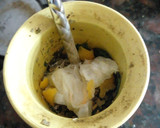 Foto del paso 2 de la receta: Mate Menta-Limón