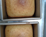 Foto langkah ke 4 dari resep Roti Tawar Bebas Gluten (Tepung Beras).