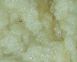 A picture of step 3 of Tricolour Peda.