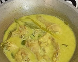 Foto langkah ke 6 dari resep Opor ayam.