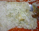 Foto del paso 1 de la receta: Tortitas de betabel plátano y alegría a la Mario's