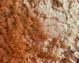 Foto del paso 6 de la receta: Tamales de rajas