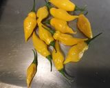Une image de l'étape 2 de Trio de piments, tomates cerises, ail et herbes aromatiques au vinaigre.