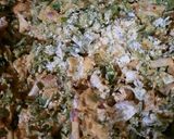 A picture of step 1 of Vegetable pakory..