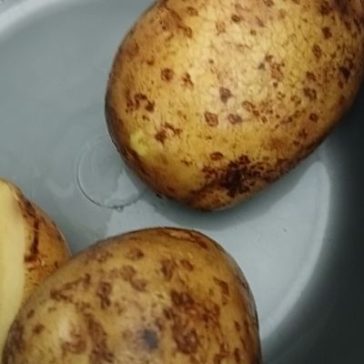 Langkah 1