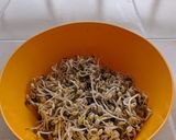 A picture of step 5 of Mung Bean Sprouts (Tauge).