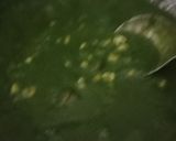 A picture of step 6 of Palak corn.
