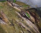 Foto langkah ke 4 dari resep Ikan Salem Lado Mudo.