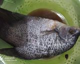 Foto langkah ke 1 dari resep Gurame bakar.