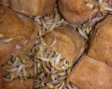 Foto langkah ke 1 dari resep Gehu (toge tahu).