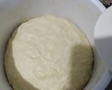 Foto langkah ke 2 dari resep Artisan Bread Merah Putih (Tanpa Ulen).