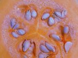 Mermelada - Dulce de zapallo cosechado de la quinta