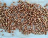 Foto langkah ke 1 dari resep Sambal Teri Kacang.