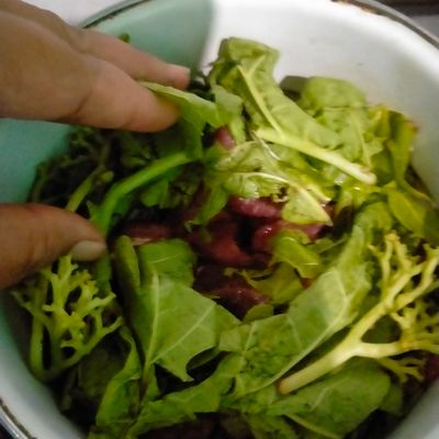 Langkah 1