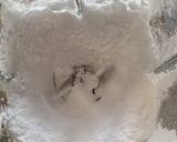 Foto del paso 7 de la receta: Merengue para decorar