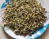 સ્પ્રાઉટ મગ (Sprout Moong Recipe In Gujarati) રેસીપી સ્ટેપ3ફોટો