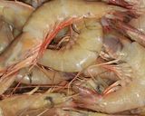 Foto langkah ke 1 dari resep Sate Udang Simple.