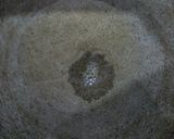 A picture of step 1 of Sev tomato sabji.