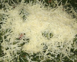 Foto del paso 1 de la receta: Canelones de espinaca y ricota