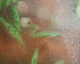 Foto langkah ke 5 dari resep Sayur sop simple enak.