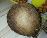 Kunun ayamatakin girki1 hoto