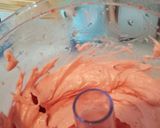 A picture of step 1 of Thrive Life Ice Cream .