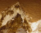 Foto del paso 4 de la receta: Tiramisú!!☕☕