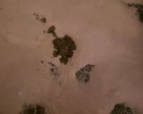 A picture of step 5 of Holmestead Cookin': Broccoli Chicken Pesto Pasta.