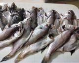 Foto langkah ke 1 dari resep Ikan asin home made.