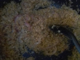Cinnamon rice