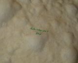 A picture of step 4 of Chapatti.