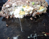 Foto del paso 6 de la receta: Pan de carne relleno
