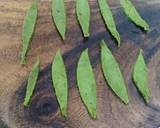 Spinach Muttar recipe step 2 photo