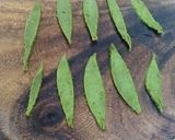A picture of step 2 of Spinach Muttar.