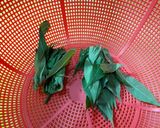 Foto langkah ke 1 dari resep Daun Singkong Kuah Santan.