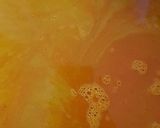 A picture of step 1 of Black soup.