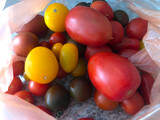 Trilogía de tomates y aceitunas