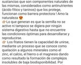Foto del paso 1 de la receta: ¿Cómo activar semillas?