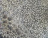 Foto del paso 2 de la receta: Macarrons